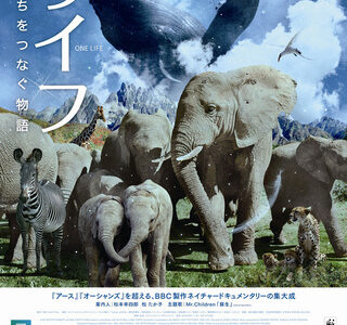 『ライフ -いのちをつなぐ物語-』　レビュー（感想）